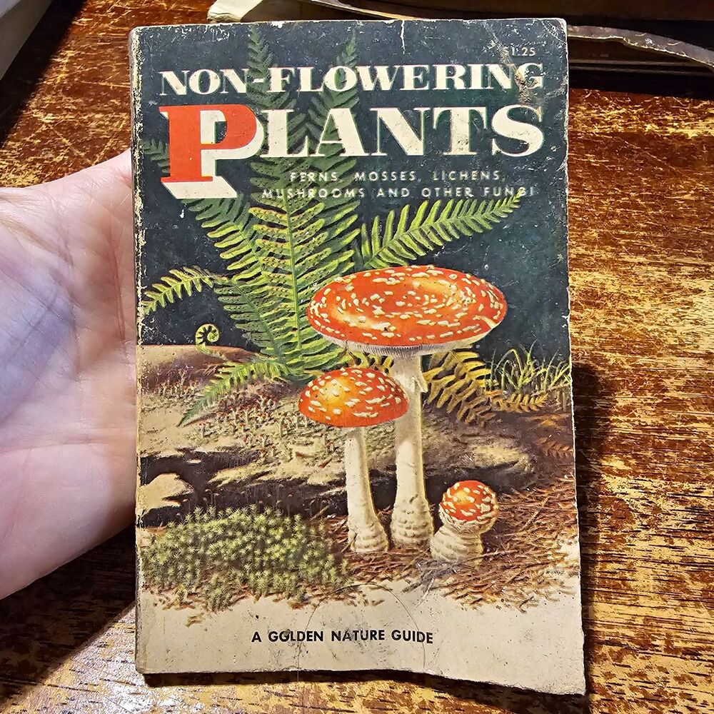 Golden Nature Guide Non-Flowering Plants PB 1967 Western Publishing Illustrated